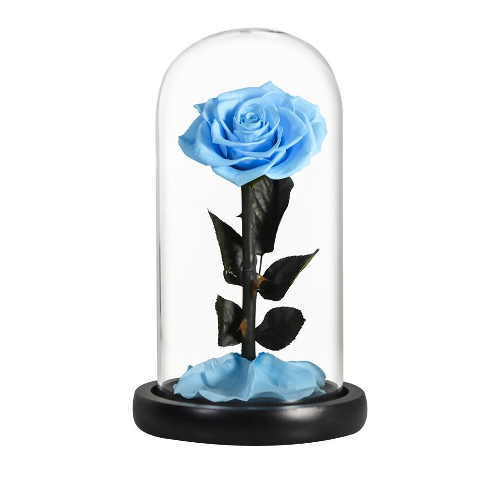 Thumbnail: 22cm Preserved Rose In Glass Dome LED  Light