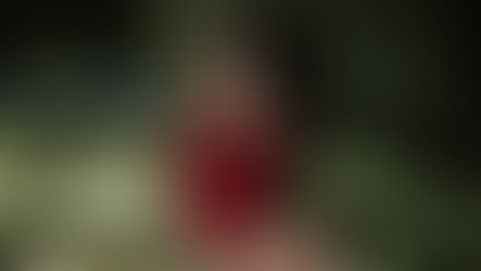 〈The Life of a Showgirl〉形象系列之一。Taylor Swift 坐在綠色絲絨沙發上,身穿紅色緞面馬甲與手套。