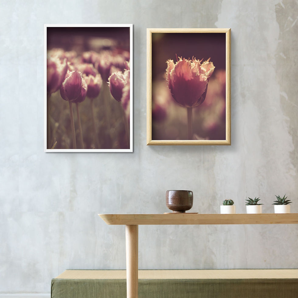 DUO TULIPAS TONS QUENTES