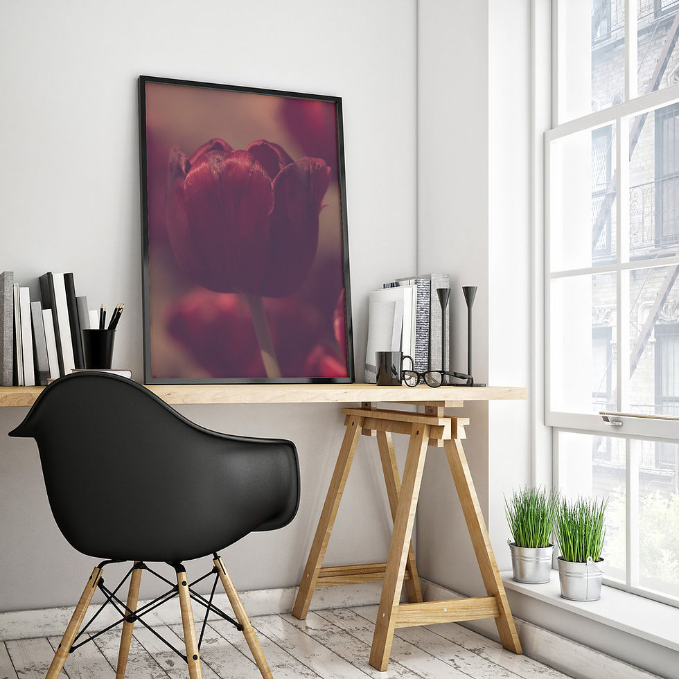 TULIPA VERMELHA SOLITÁRIA