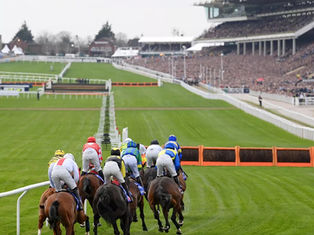 Cheltenham Festival 2024 - Day 3 Stayers Hurdle Preview with Gold Cup winning jockey Andrew Thornton