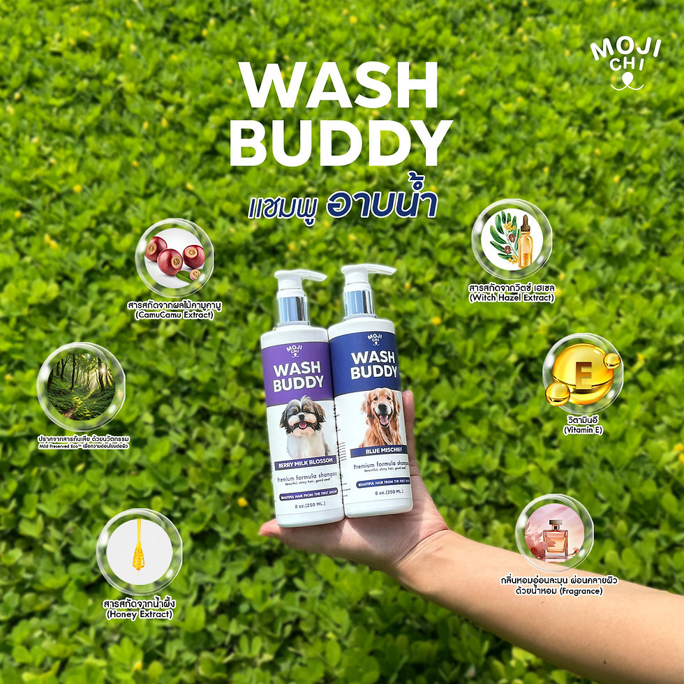 โปรเซตคู่ WashBuddy แชมพูสูตรพรีเมี่ยม ขนาด 250 มล.