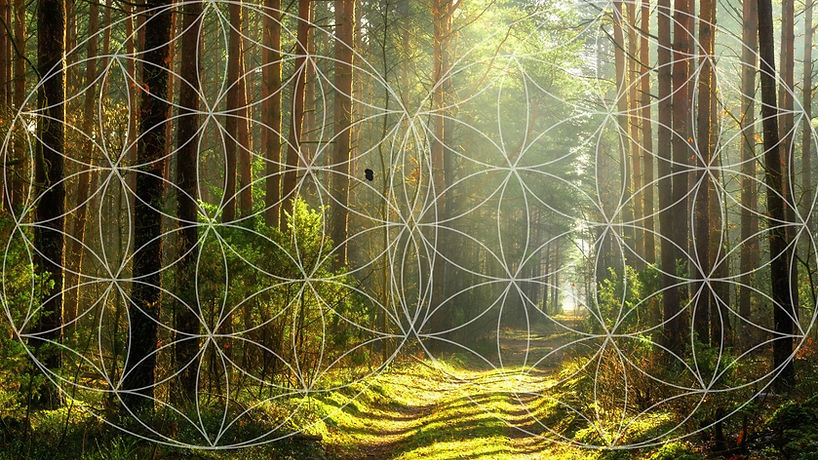 wix başarıya giden yolda iyileşme (3).jpg