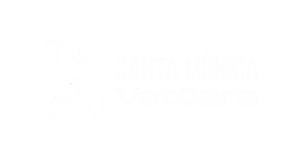 Design sem nome (4).png