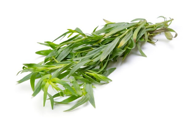 Bay Leaves