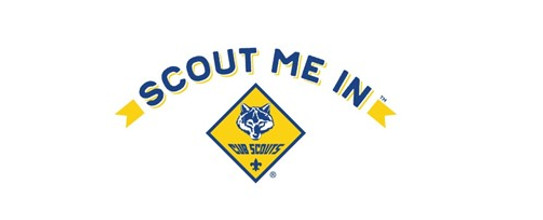cub scouts.jpg
