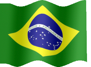 Bandeira Brasil.gif