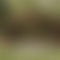 5 diferencias clave entre un kiosco metálico y un kiosco tradicional para fincas: