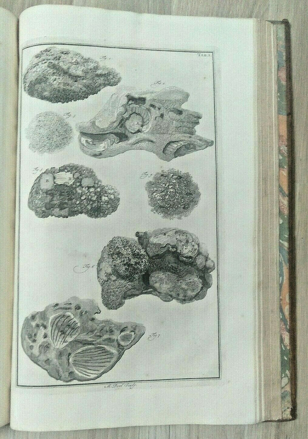 Histoire Physique de la mer, Golf de Lion