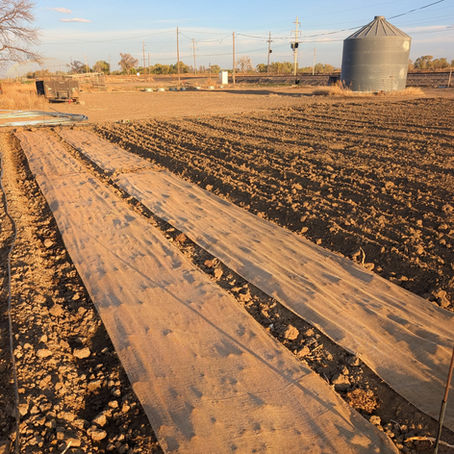 The Water & the Weather: Another Challenging Spring at the Farm