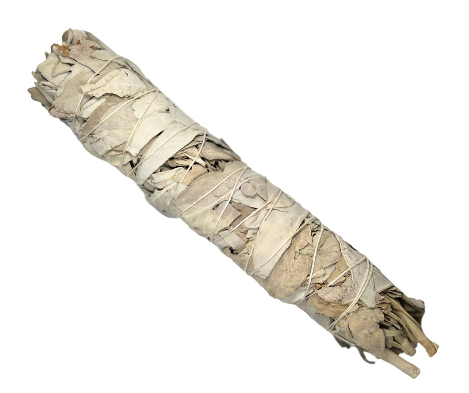 8" White Sage bundle