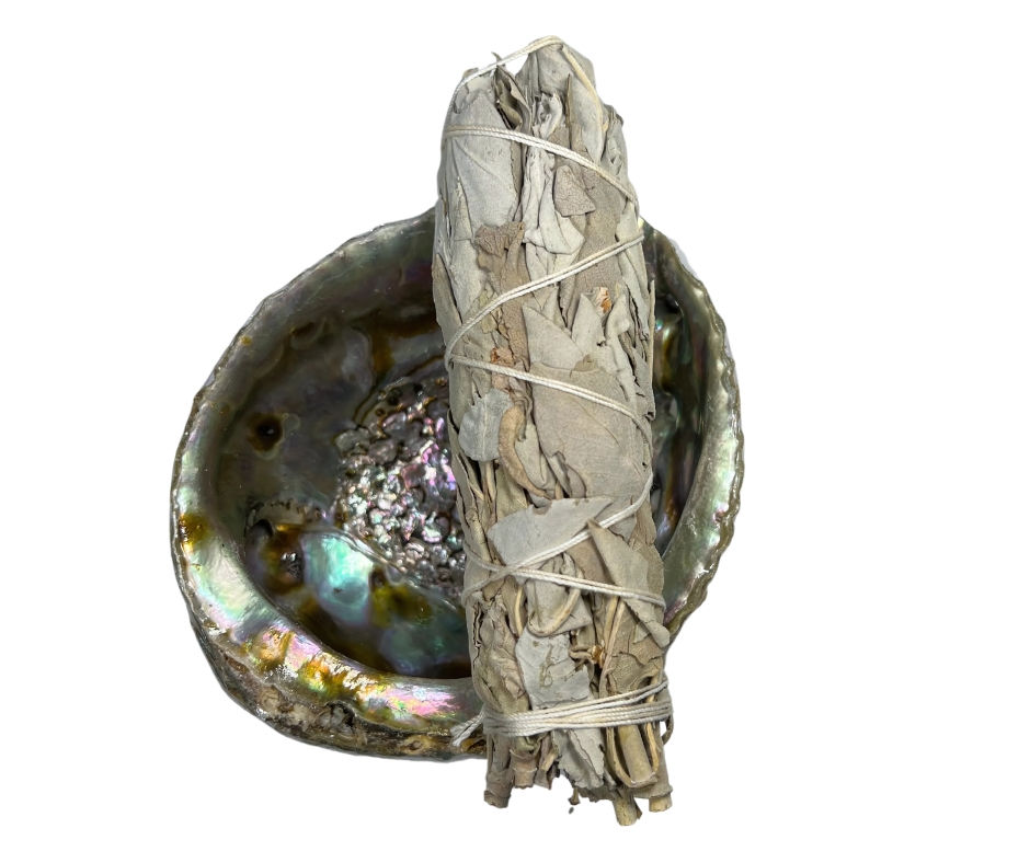 6" White Sage Bundle on top of Abalone shell
