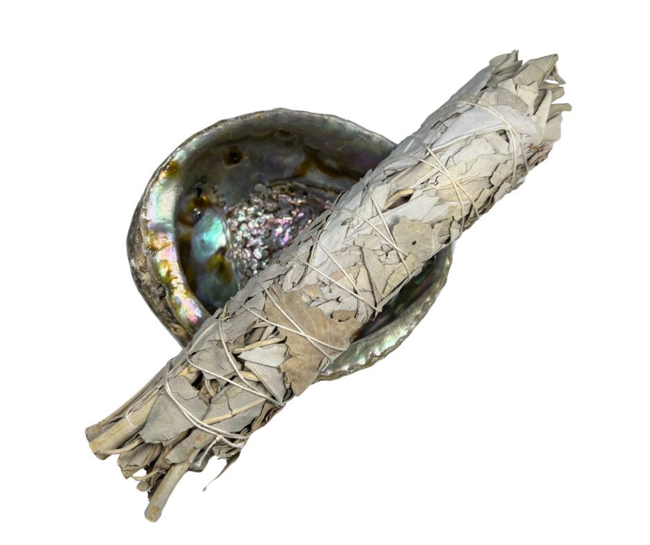 8" White Sage Bundle on top of Abalone shell