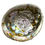 Thumbnail: Abalone Shell