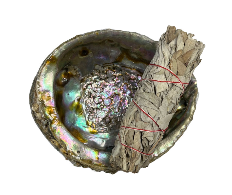 4.5" White Sage Bundle on top of Abalone shell