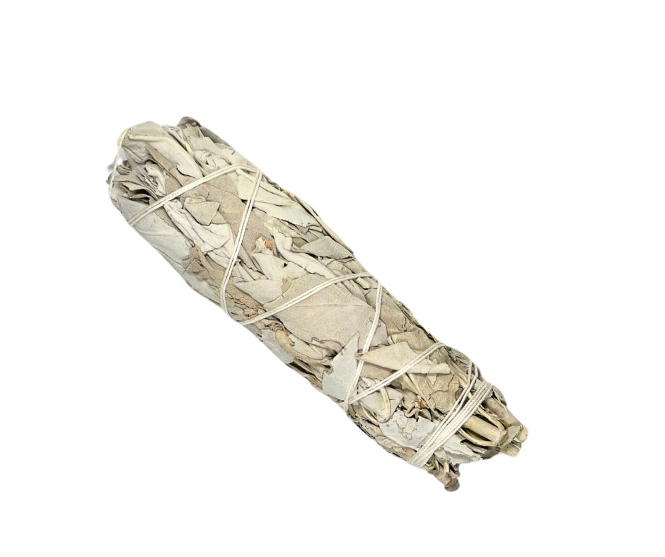 6" White Sage Bundle