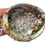 Thumbnail: Abalone Shell in hand