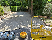 foto petanque.jpg
