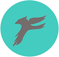 LOGO FOLCON.png