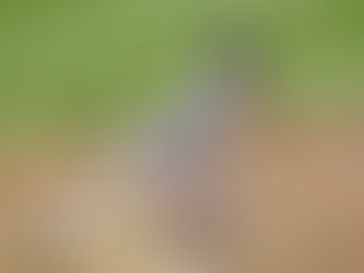 The Nationals split the series against the New York Mets