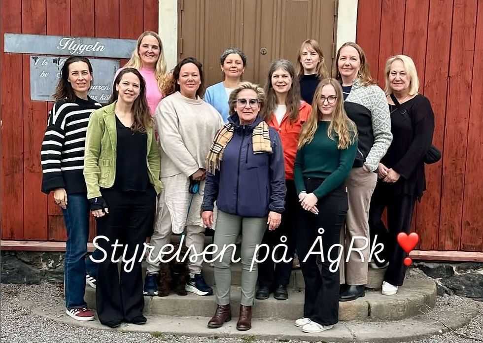 ågestastyrelsen-2026.jpg