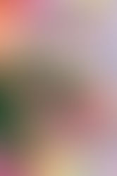 Із святом весни вас, наші любі жінки!