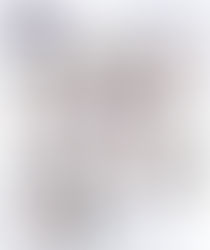 Блок молодих вчених - лекторів Конгресу