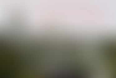 Вітання від Президента ГО "АСУ" Ірини Петрівни Мазур