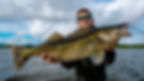 Angler proudly displays a large zander catch