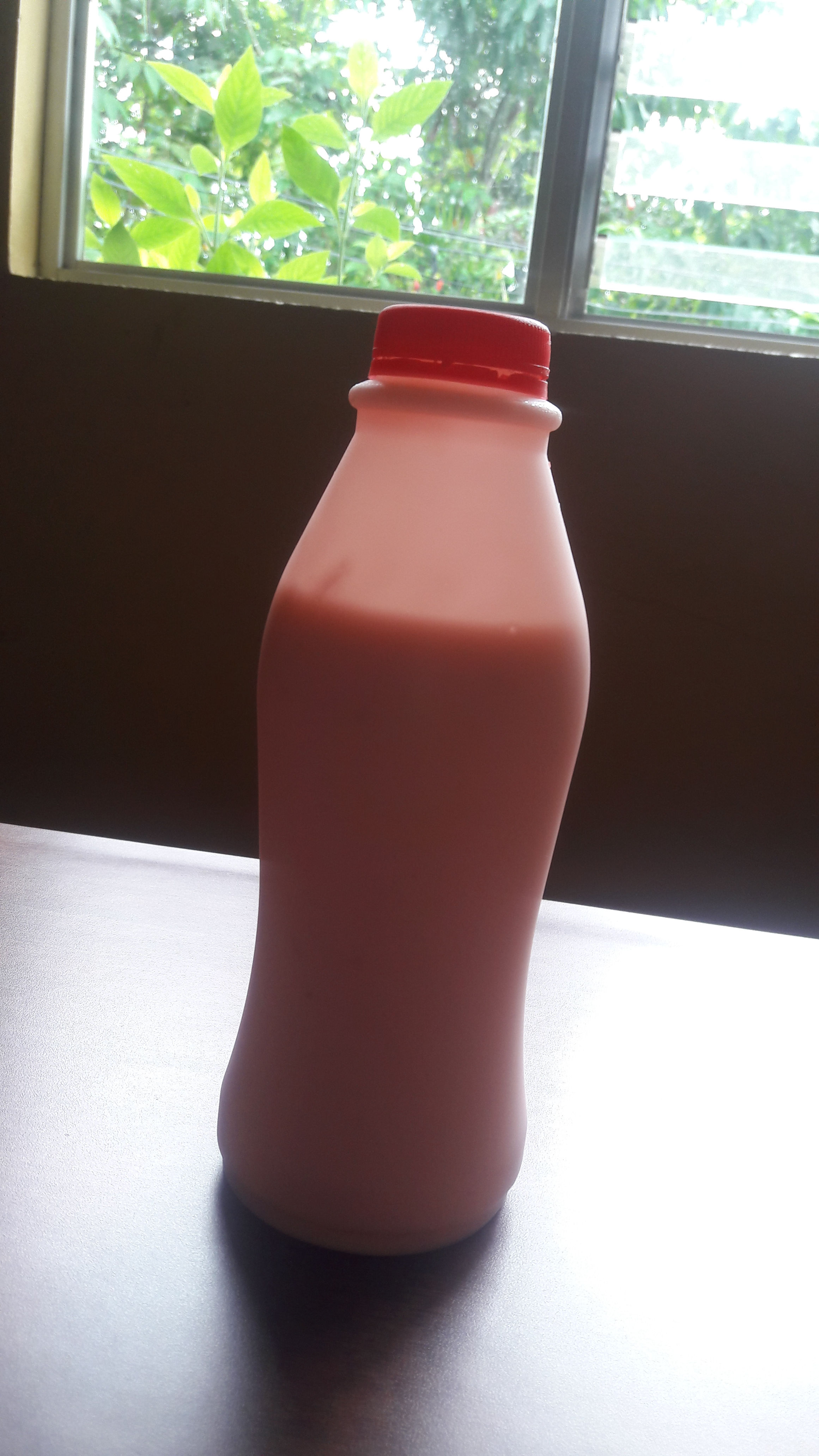 Yogurt a base de leche de cabra 2.5 litros