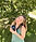 2827C3C0-939D-4735-BED3-6C2D5380AA89.jpeg