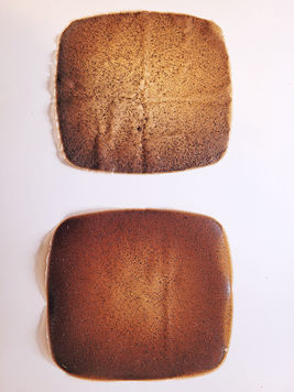 muestras de bioplástico