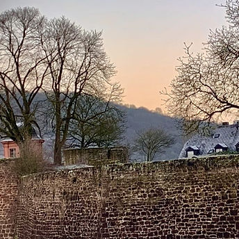 Pfalzel_Wallmauer-1136x550 (1)_edited.jpg