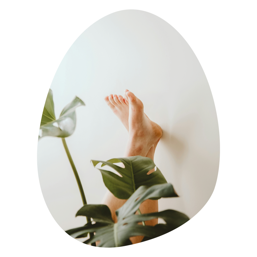 OrganicForm_Foto.png