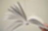 A book with the pages flying open