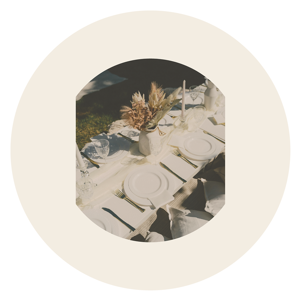 pics for image reel-01-22