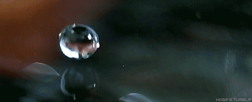 2q82.gif