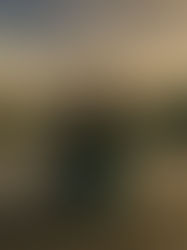 Person practicing mindfulness in front of a lake