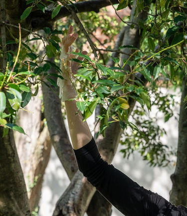 EQUINOX Performance with PAE 