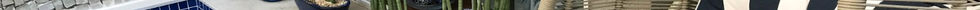 GettyImages-1190411433_edit 1.jpg