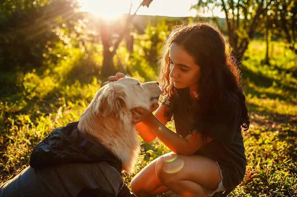 Girl kneeling, gently petting a dog in sunny, green park. Sunlight filters through trees, creating a warm, serene atmosphere.