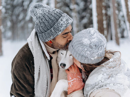 Couple in winter attire cuddles a white husky in snowy forest. Both wear gray hats, snowflakes on clothing, creating a serene, loving mood.