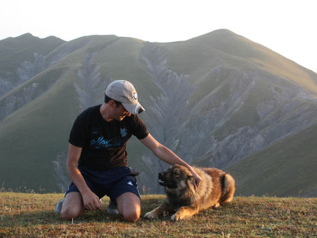 A man in a cap kneeling, petting a fluffy dog on a grassy hill. Mountain backdrop under a clear sky. Casual and serene mood.