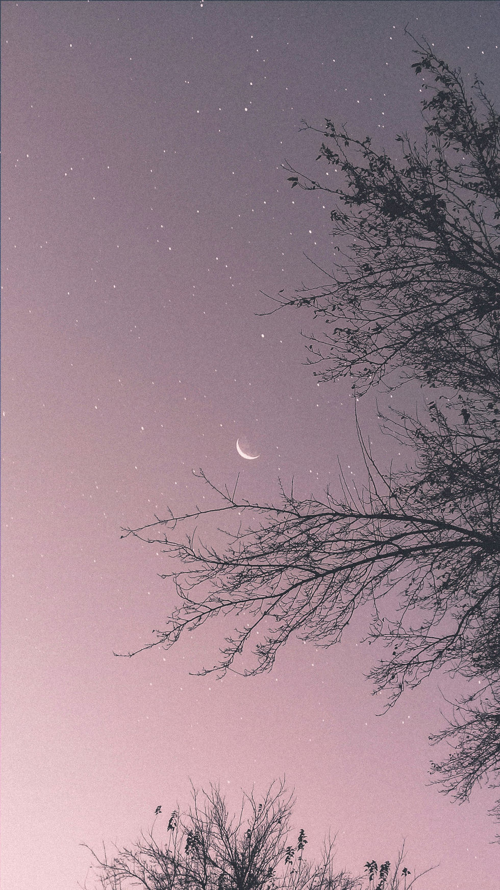 BUCK MOON RITUAL