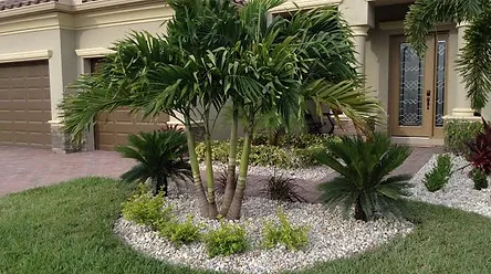 Moore S Landscaping Lawn Care