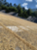 IMG_2208.JPEG