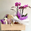 Miniatura: Young & Beauty (Orquidea)