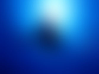 帛琉潛水成本分析：一次公開所有開銷！
