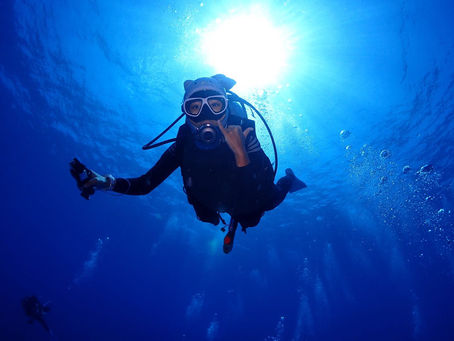 帛琉潛水成本分析:一次公開所有開銷!