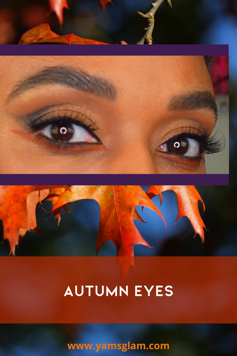 Autumn Eye Makeup